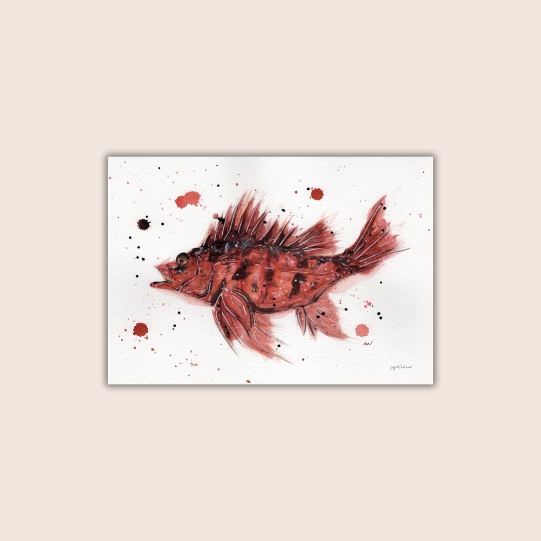 Affiche - Poisson de roche - Watergame