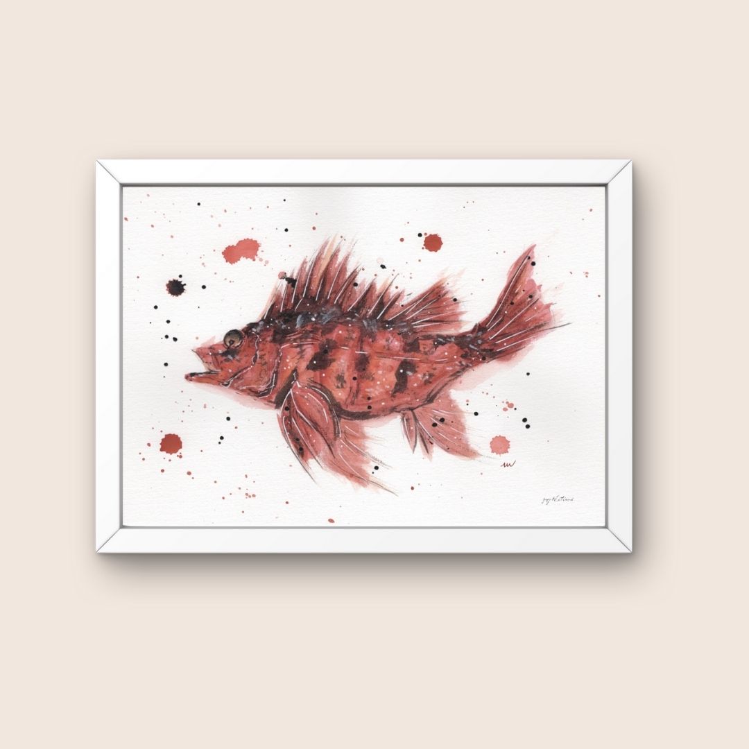 Affiche - Poisson de roche - Watergame