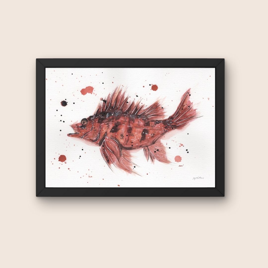 Affiche - Poisson de roche - Watergame