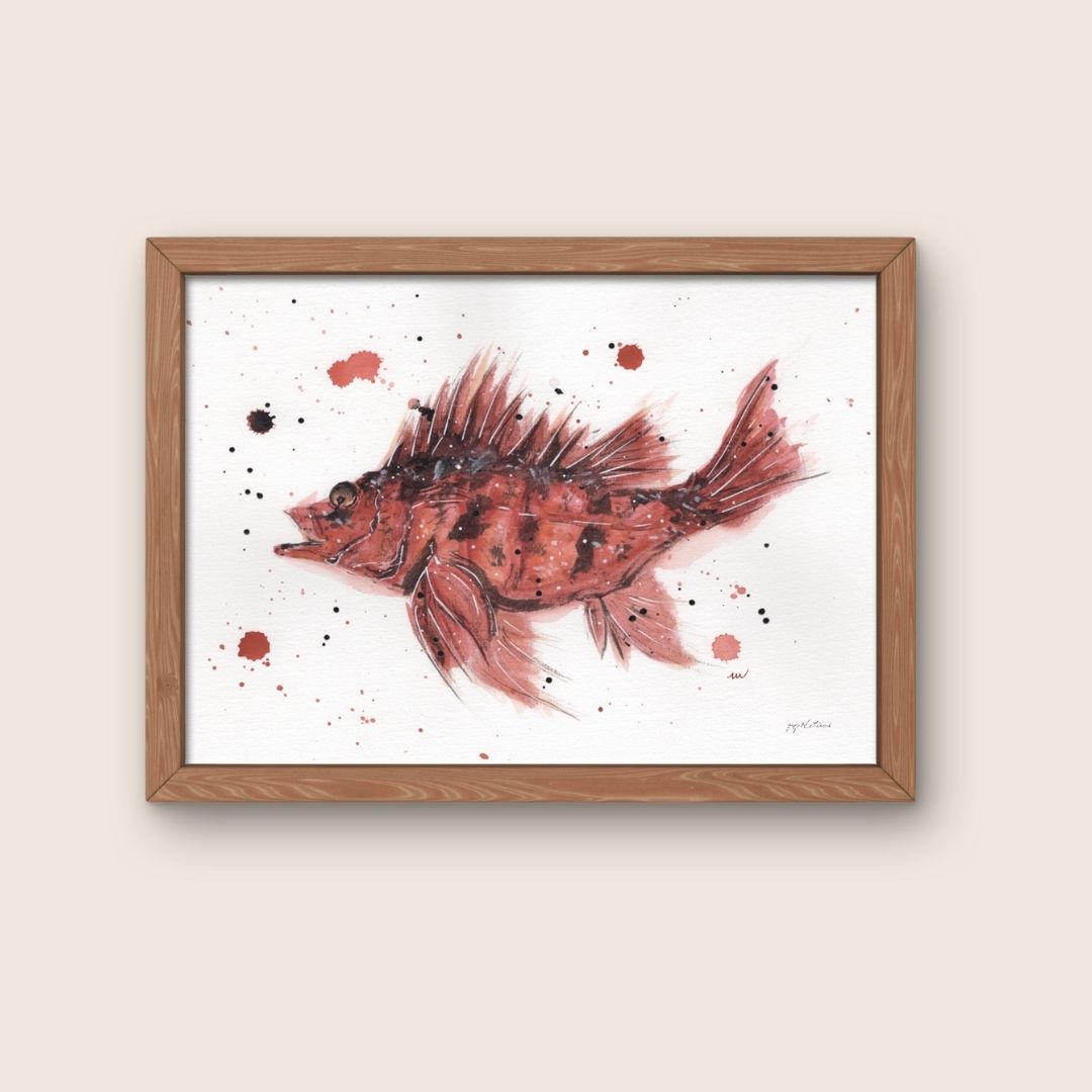Affiche - Poisson de roche - Watergame