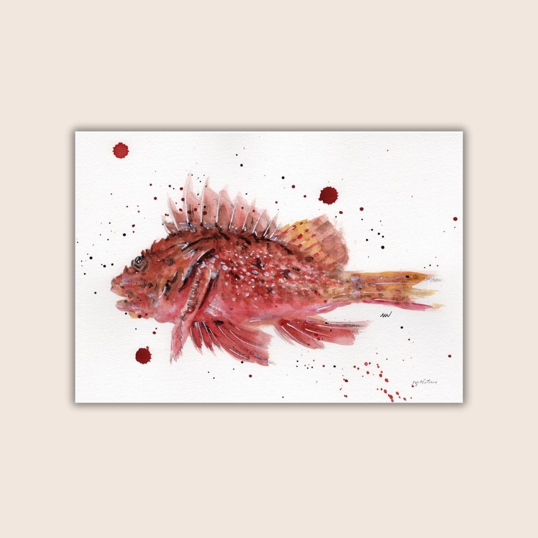 Affiche - Rascasse- Watergame