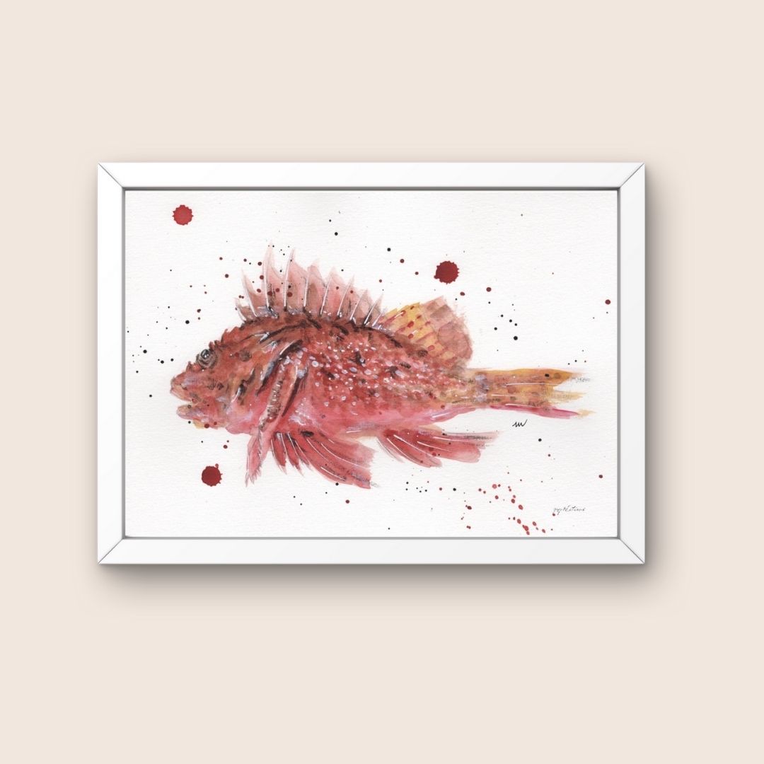 Affiche - Rascasse- Watergame