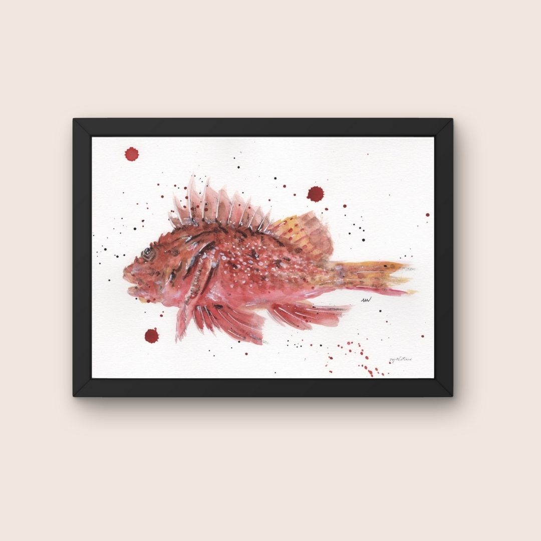 Affiche - Rascasse- Watergame