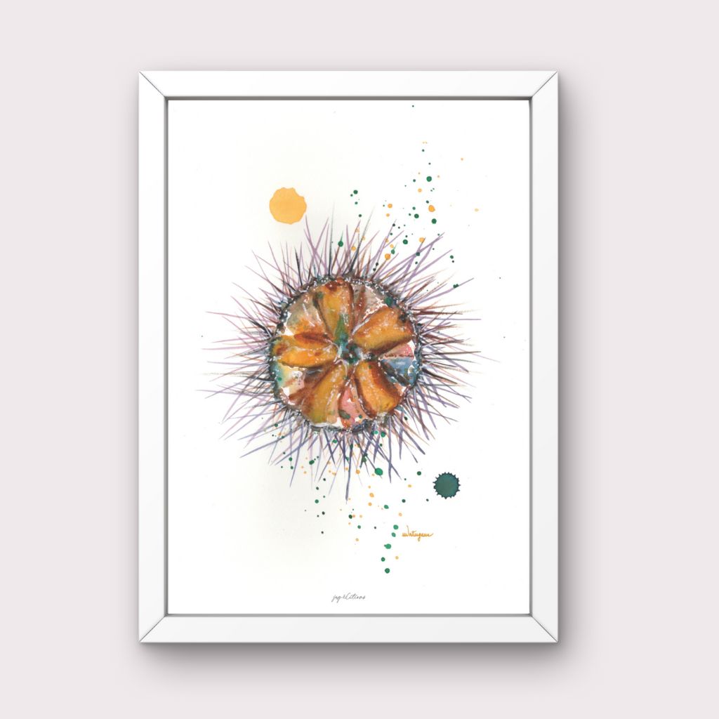 Affiche - Oursin - Watergame