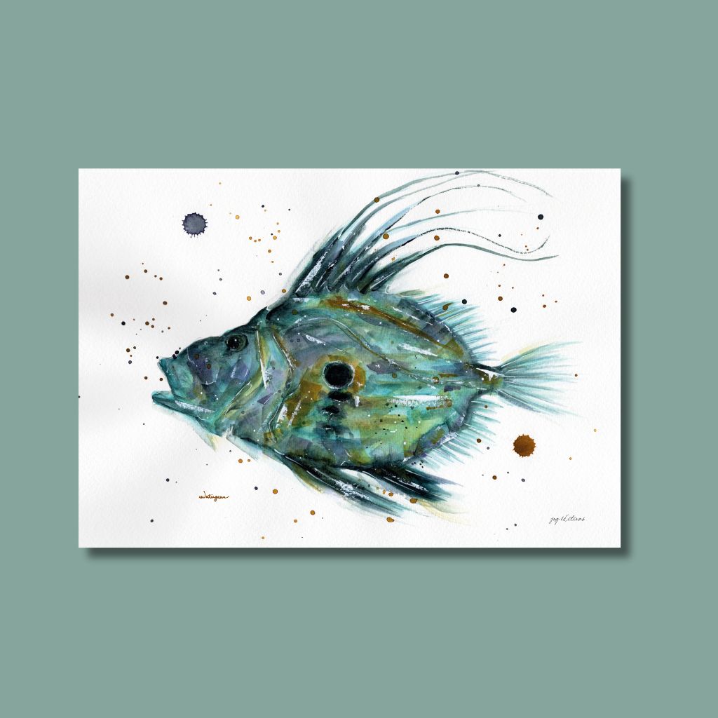 Carte postale - Saint Pierre 1 - Watergame