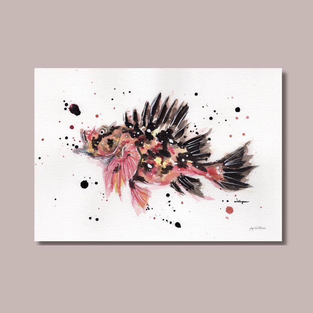 Carte postale - Chapon - Watergame