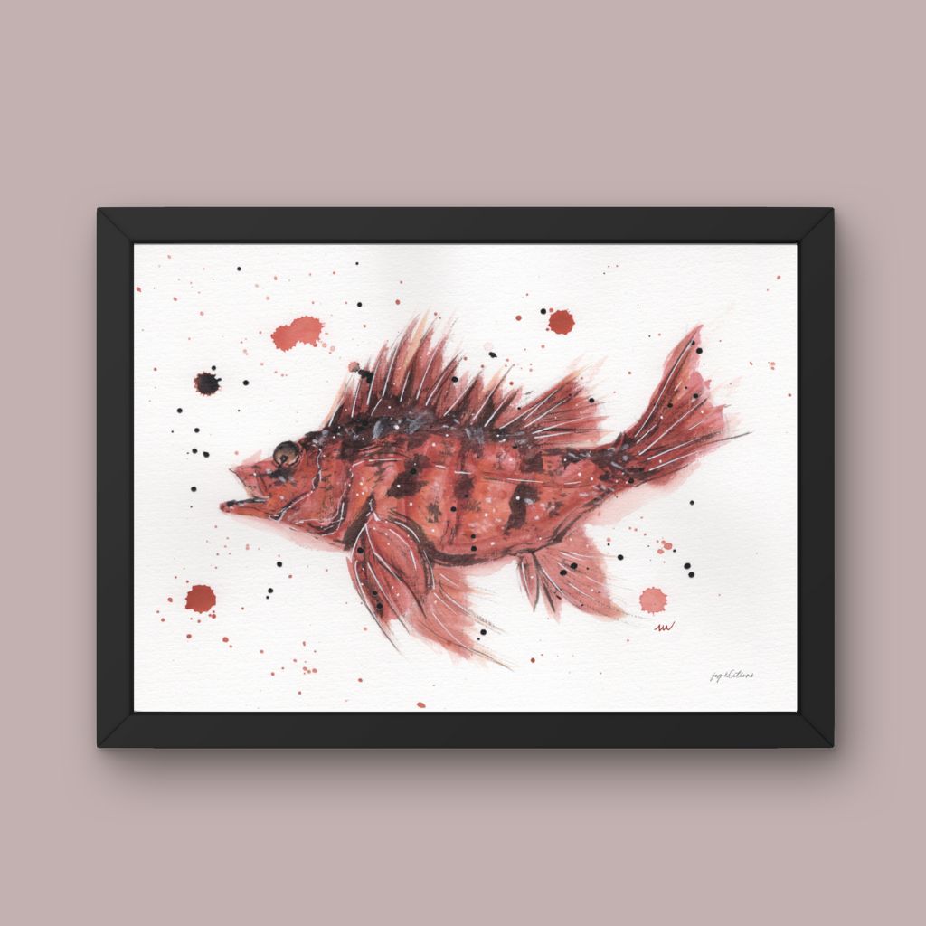 Carte postale - Poisson de roche  - Watergame